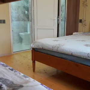 بيت ضيافة هاسانوفز ****